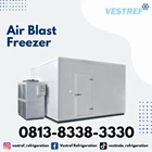 VESTREF ABF 006 Air Blast Freezer 0.6 Tons capacity 1
