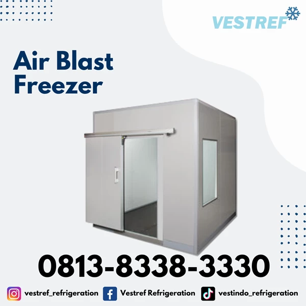 VESTREF ABF 006 Air Blast Freezer 0.6 Tons capacity