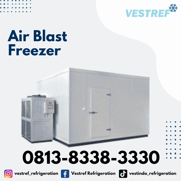 VESTREF ABF 006 Air Blast Freezer 0.6 Tons capacity