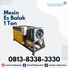 VESTREF MEB 010 Ice Block Machine 1 Ton capacity 4